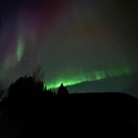 Ett Hus Med 3 Sovrum Med Supersnabba Internet Fiberanslutningen 1000Mb-100Mb I Hoeg, 7 Minuter Fran Hudiksvall Kültér fotó