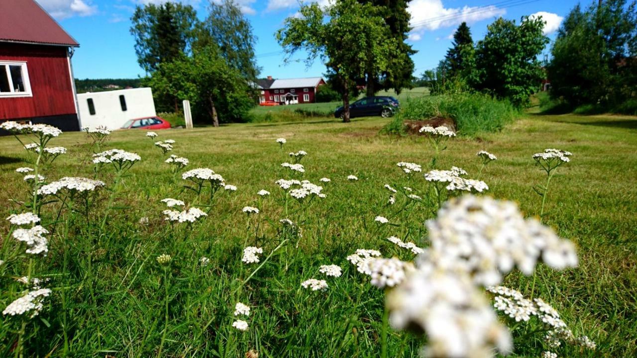 Ett Hus Med 3 Sovrum Med Supersnabba Internet Fiberanslutningen 1000Mb-100Mb I Hoeg, 7 Minuter Fran Hudiksvall Kültér fotó